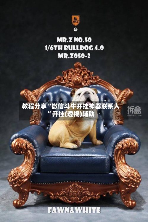 教程分享“微信斗牛开挂神器联系人”开挂(透视)辅助-第1张图片