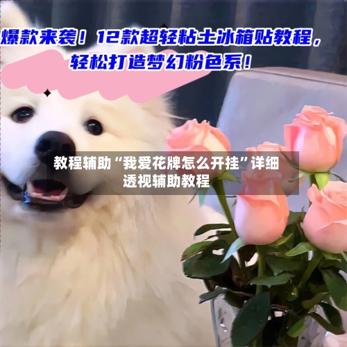 教程辅助“我爱花牌怎么开挂	”详细透视辅助教程-第1张图片