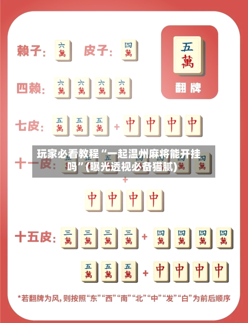 玩家必看教程“一起温州麻将能开挂吗”(曝光透视必备猫腻)-第1张图片