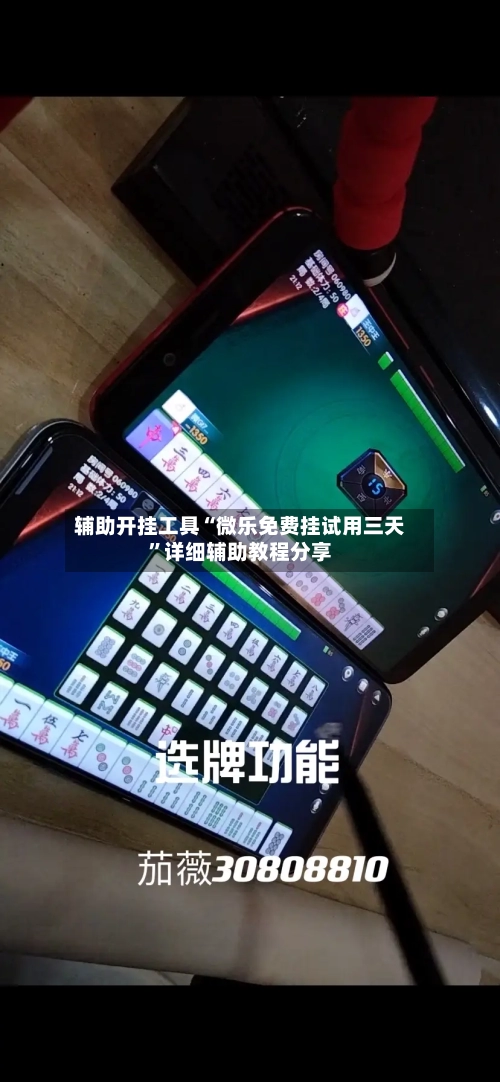辅助开挂工具“微乐免费挂试用三天	”详细辅助教程分享-第1张图片
