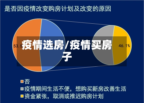 疫情选房/疫情买房子-第2张图片