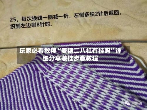 玩家必看教程“麦穗二八杠有挂吗	”详细分享装挂步骤教程-第1张图片