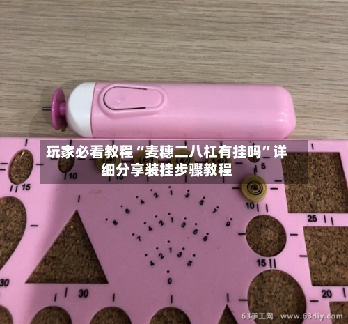 玩家必看教程“麦穗二八杠有挂吗”详细分享装挂步骤教程-第2张图片