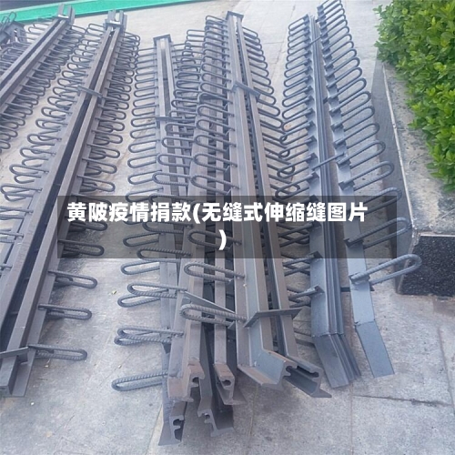黄陂疫情捐款(无缝式伸缩缝图片)-第1张图片