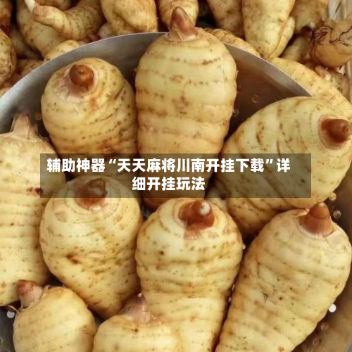 辅助神器“天天麻将川南开挂下载”详细开挂玩法-第1张图片