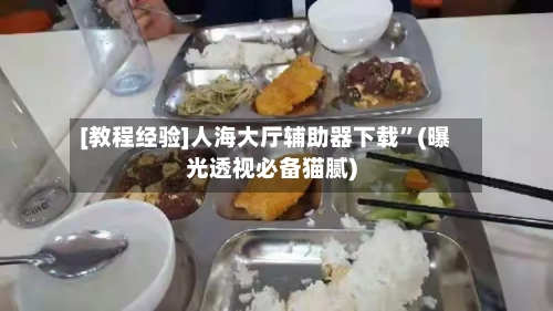 [教程经验]人海大厅辅助器下载”(曝光透视必备猫腻)-第2张图片