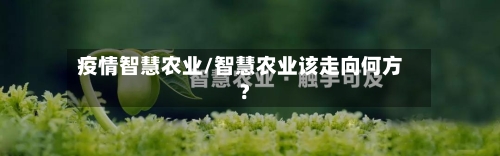 疫情智慧农业/智慧农业该走向何方?-第1张图片