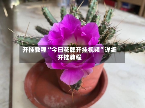 开挂教程“今日花牌开挂视频”详细开挂教程-第3张图片