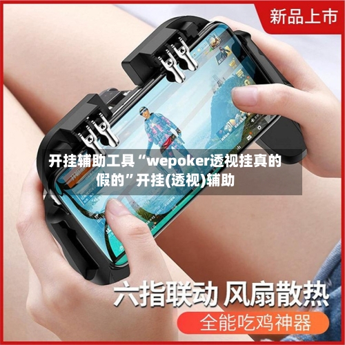 开挂辅助工具“wepoker透视挂真的假的”开挂(透视)辅助-第2张图片