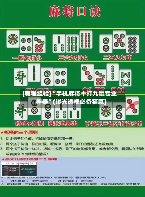 [教程经验]“手机麻将十打九赢专业神器”(曝光透视必备猫腻)-第3张图片