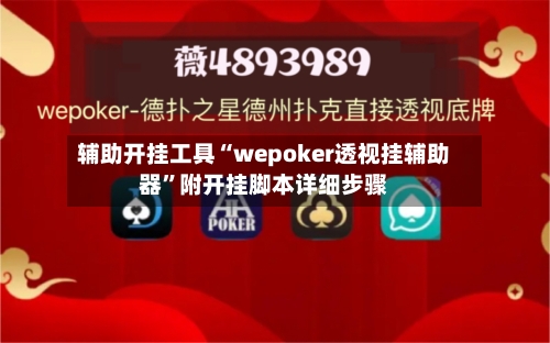 辅助开挂工具“wepoker透视挂辅助器”附开挂脚本详细步骤-第3张图片