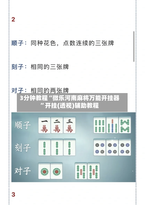 3分钟教程“微乐河南麻将万能开挂器”开挂(透视)辅助教程-第3张图片