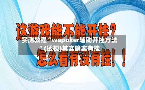 实测教程“wepoker辅助开挂方法”(透视)其实确实有挂-第2张图片