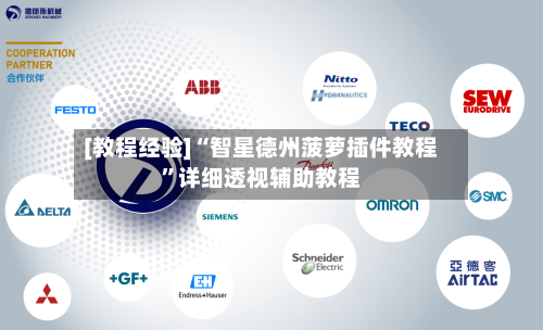 [教程经验]“智星德州菠萝插件教程”详细透视辅助教程-第2张图片