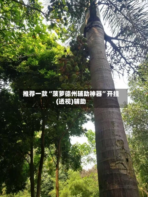 推荐一款“菠萝德州辅助神器”开挂(透视)辅助-第1张图片